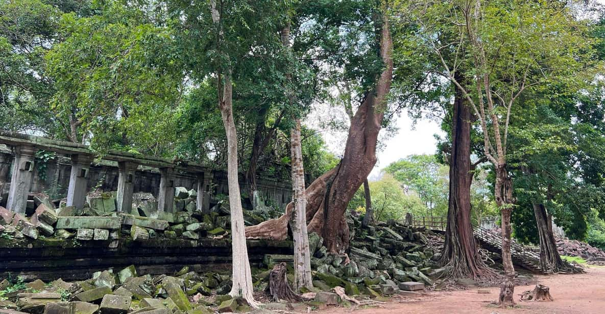 Adventure to the Distant Temples, Beng Mealea & Rolous Group - Overview of the Tour