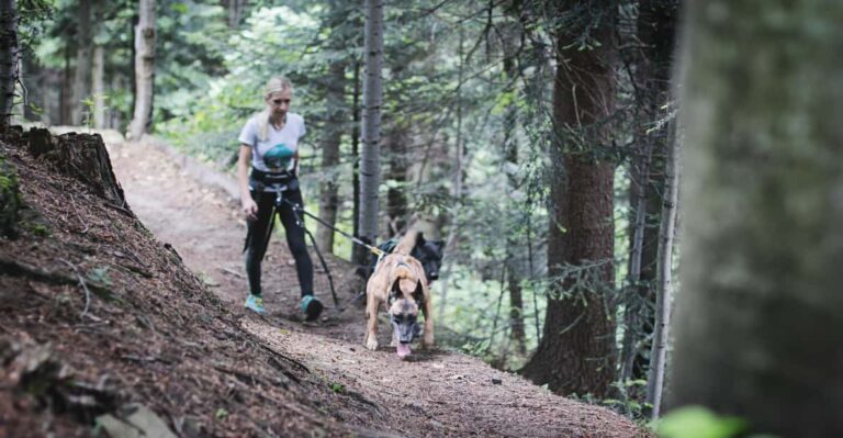 Adventure Tours With Dogs in Beskid Wyspowy – Hike