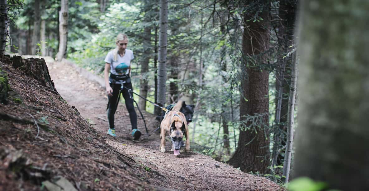 Adventure Tours With Dogs in Beskid Wyspowy - Hike - Tour Overview and Pricing