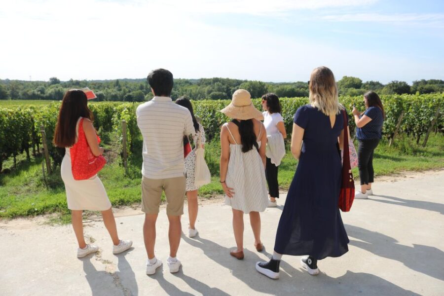 Afternoon Delight : A Wine Tour