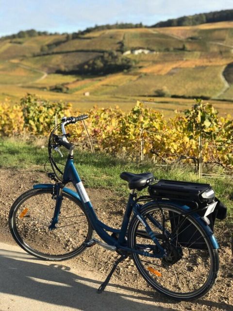 2 Best Tours In Ay Champagne