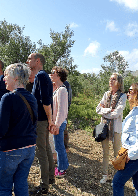 Agrigento: Olive Grove & Most Beautiful Beach Experience - Frequently Asked Questions