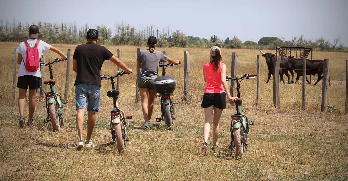 Aigues Mortes: Safari on a Bike - Ebike Tour in Camargue - Tour Overview