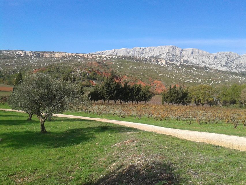 Aix-en-Provence City Tour & Wine Tour