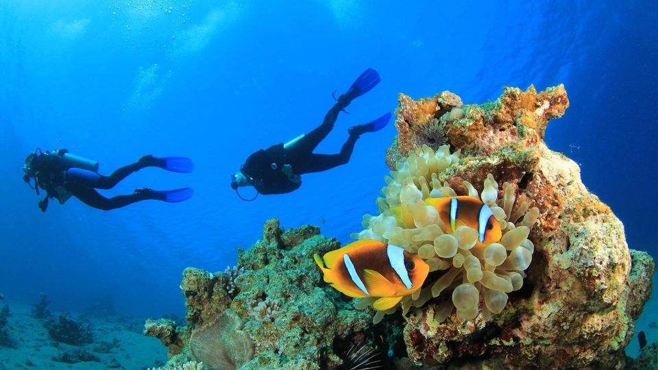 Alanya: Discover Scuba Diving Scuba Tour for Beginners - Overview of the Tour