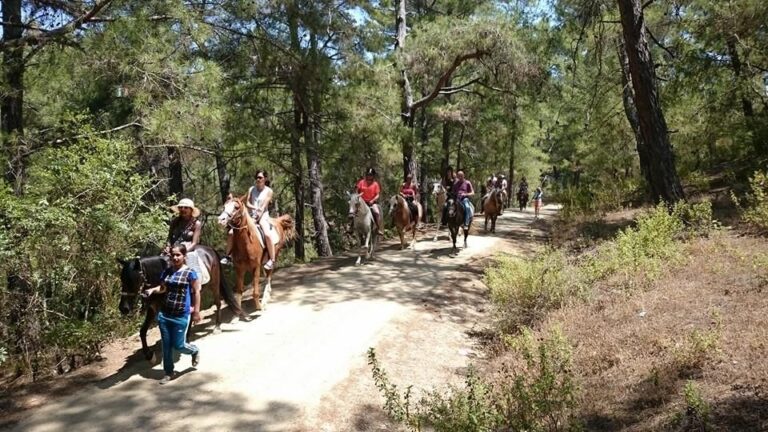 Alanya: Horse Riding Adventure