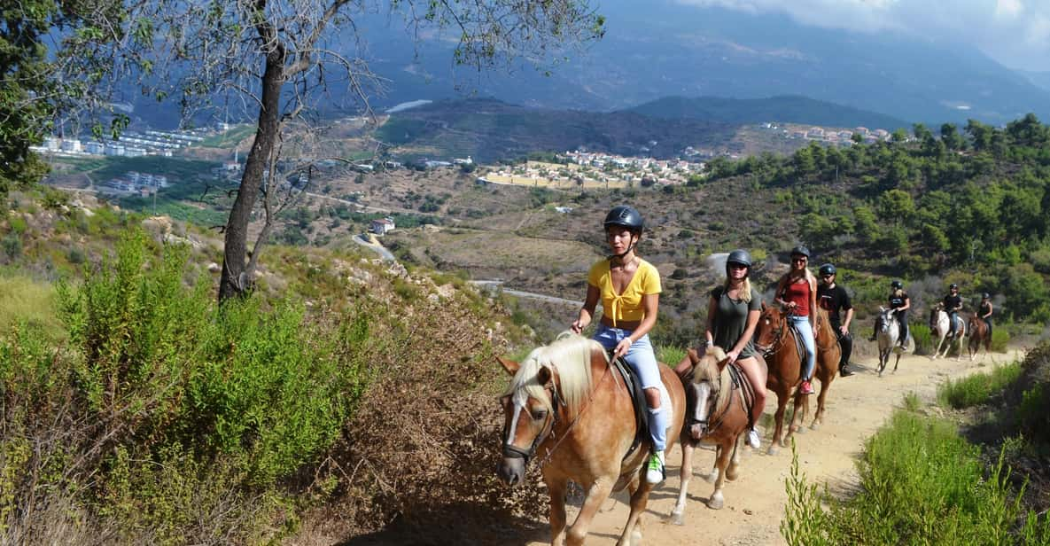 Alanya: Horse Riding Club Transfer Service - Activity Overview