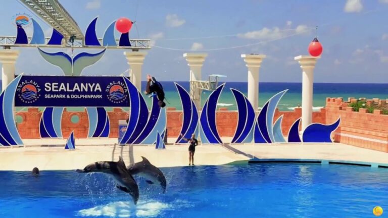 Alanya: Sealanya Dolphinpark Dolphin Show Tour