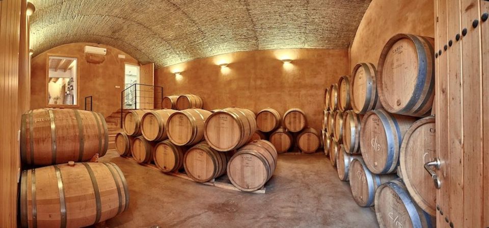 Alcudia: Vineyard Tour & Exclusive Wine Tasting Experience - Vineyard and Winery Tour