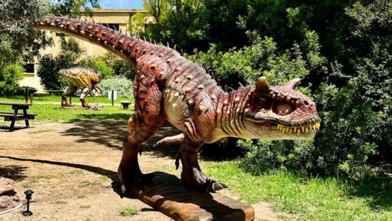 Alghero: Discover Dinosaurs in Porto Conte Park