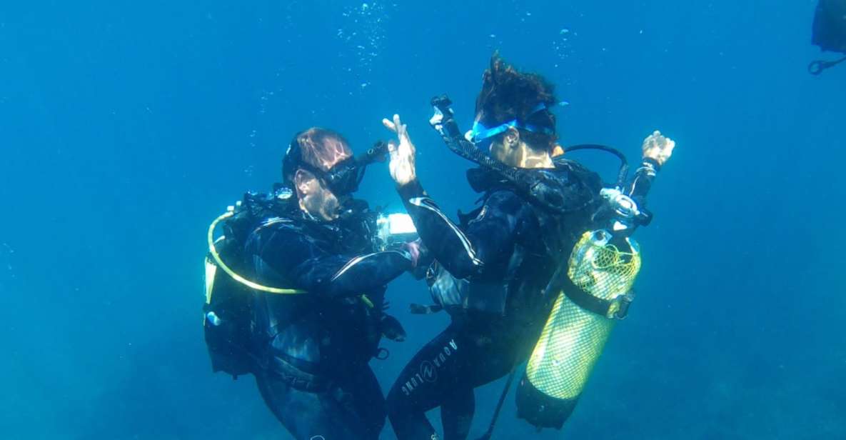 Alicante: Denia Beginners Scuba Diving Experience - Diving Experience Overview