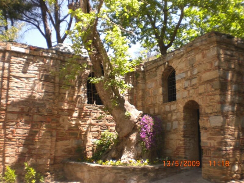 All Inclusive; Ephesus Ancient City Tour From Cruise Ship - Inclusions and Benefits