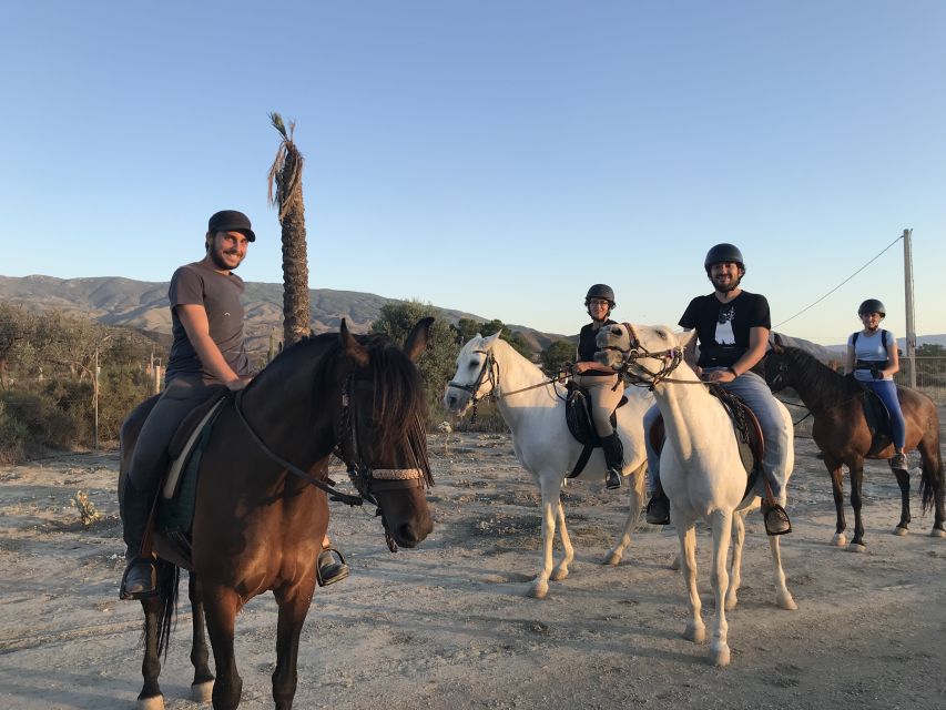 Almeria: Horse Riding Tour Through the Tabernas Desert - Tour Overview and Details