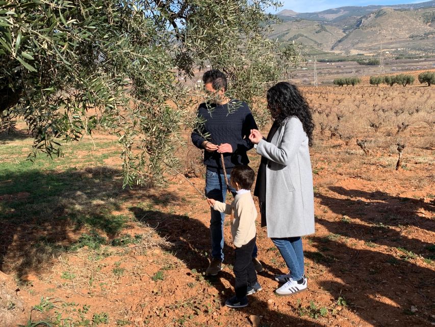 Almería: Wine Tour and Tasting in Organic Winery