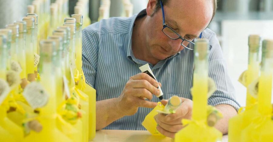 Amalfi: Vertical Lemon Farm Tour, Tastings, and Rural Museum - Tour Overview