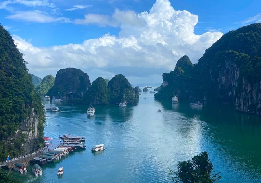 Amethyst Luxury Day Cruise- Explore Halong Bay/ Caves, Kayak - Overview of the Cruise