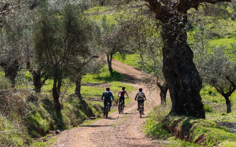 Ancient Messene: E-Bike Tour With Monastery Visit and Picnic - Tour Overview and Details