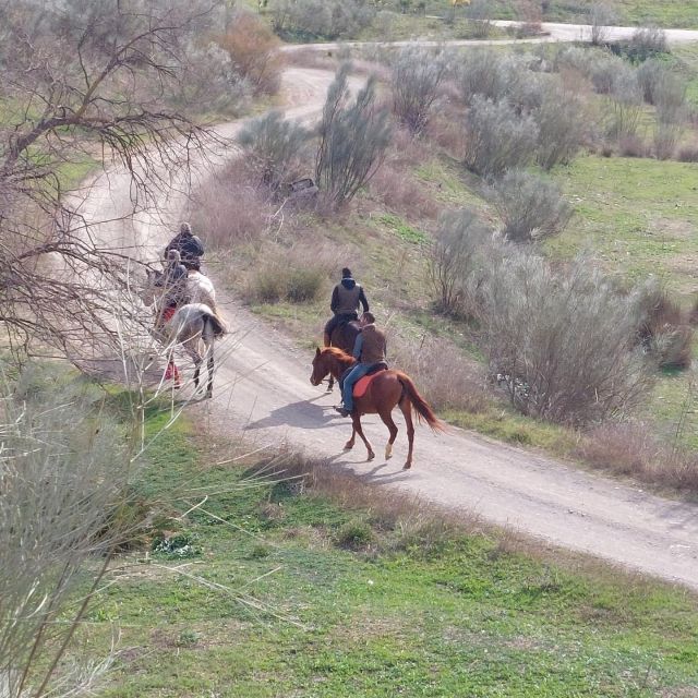 Andalucia: Horse Riding Tour With Picnic - Tour Overview