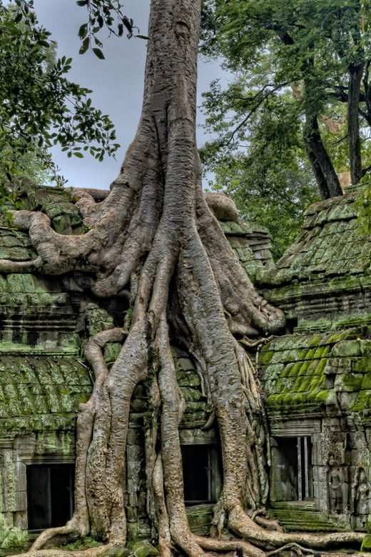 Angkor Wat Big Circuit a Self-Guided Audio Tour in English - Experience Highlights
