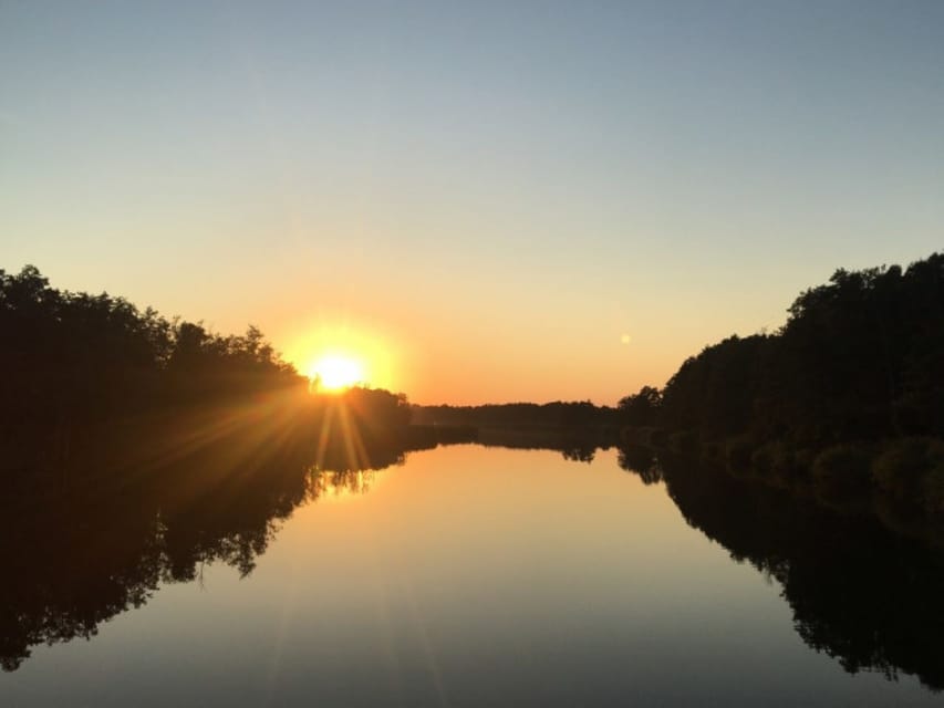 Anklam: Evening Wildlife Boat Tour With Naturalist Guide - Tour Overview