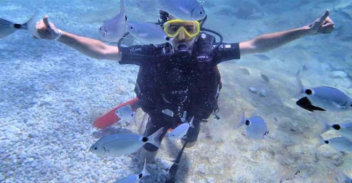 Antalya/ Belek: Scuba Diving Tour With 2 Time Dive & Lunch - Diving Experience and Structure