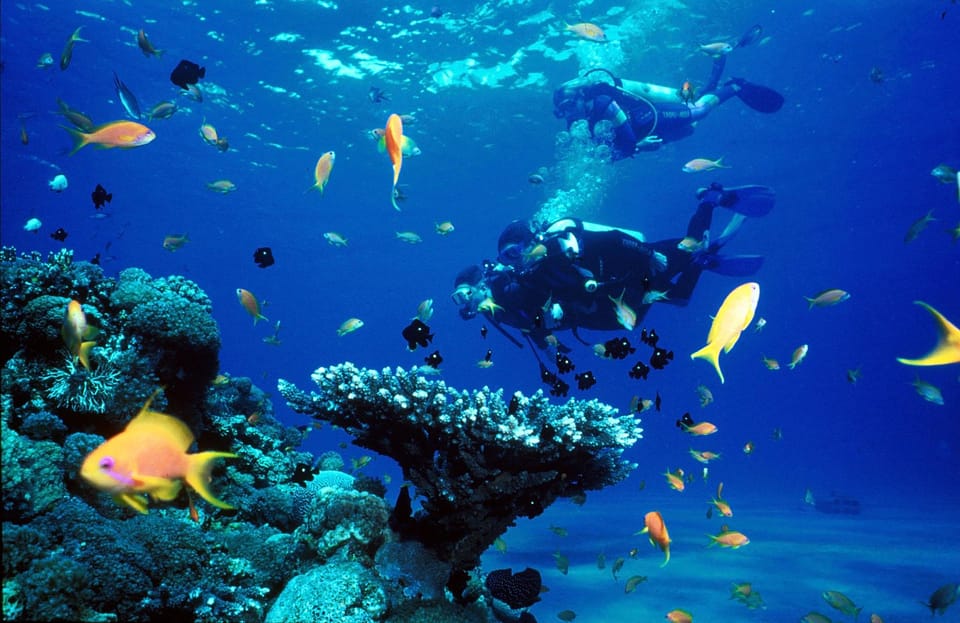 Antalya Scuba Diving by Boat Tours With Lunch - Tour Pricing and Duration