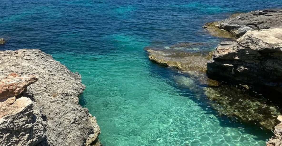 Aquatic Day Escape - Trips in Gozo, Comino & Malta - Highlights of the Trip