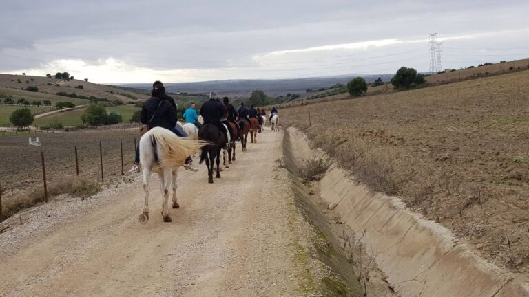 Arcos De La Frontera: Horseback Riding Experience