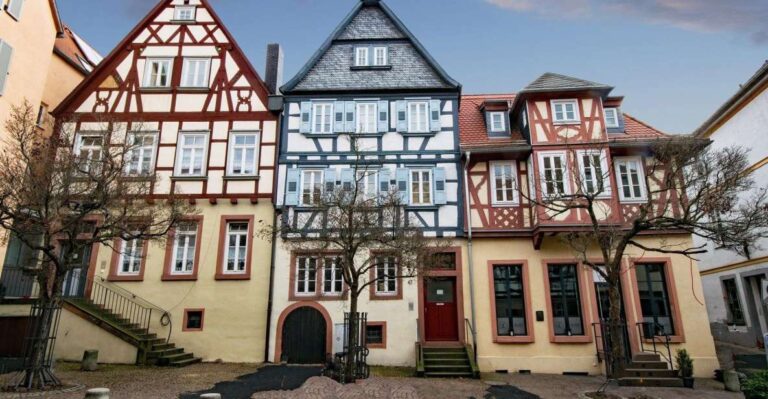 Aschaffenburg: Private Guided Walking Tour