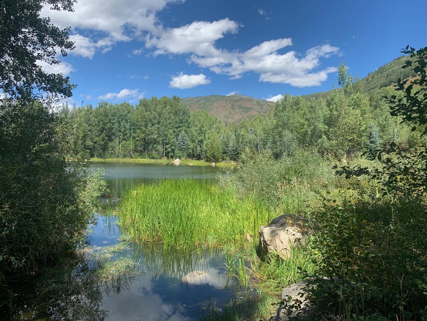 Aspen: Guided Light Hike With Roaring Fork River Views - Activity Overview