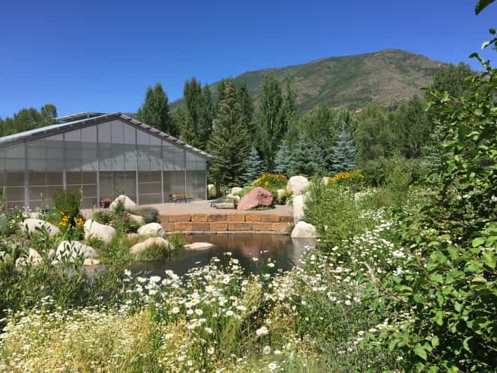 Aspens Off the Beaten Path Scenic Walking Tour - Tour Overview