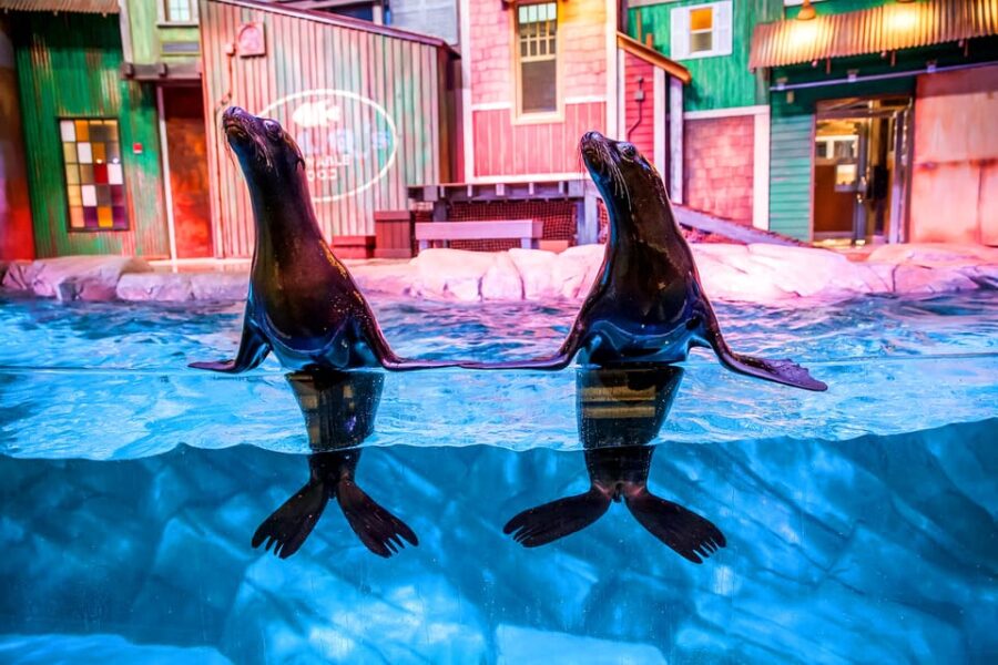 Atlanta: Georgia Aquarium Skip-the-Box-Office Entry Ticket