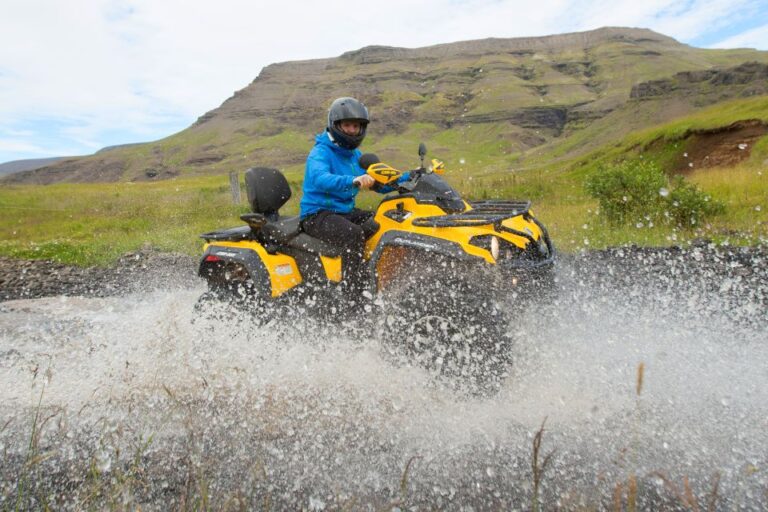 ATV & Whale Watching