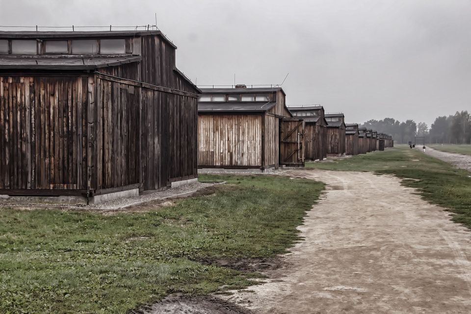 Auschwitz-Birkenau: Entrance Ticket and Live Tour Guide - Tour Overview and Pricing