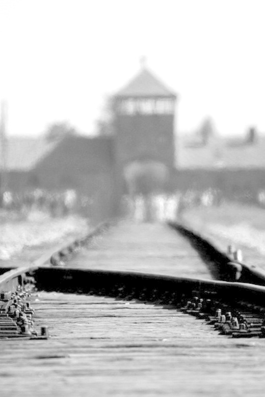 Auschwitz-Birkenau: Memorial Entry Ticket and Guided Tour - Tour Overview and Details