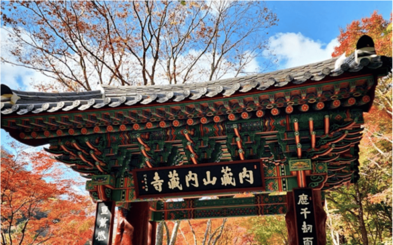 Autumn – Naejangsan National Park Maple Leaves Day Tour