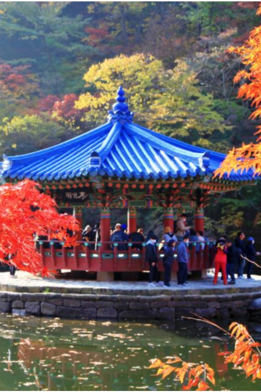 Autumn - Naejangsan National Park Maple Leaves Day Tour - Park Highlights