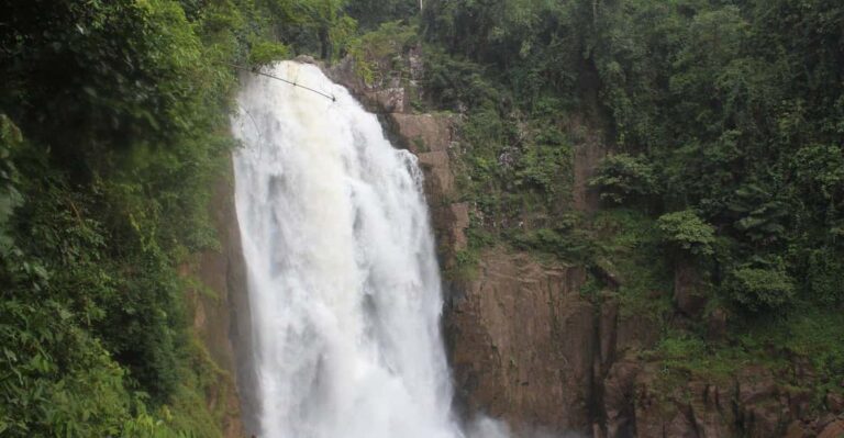 Back to Nature Trekking and Hiking at Khao Yai National Park