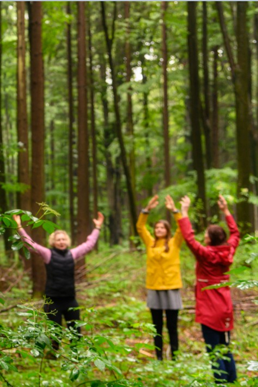 Bad Wörishofen: Shinrin-Yoku – Forest Bathing - Scientific Benefits of Forest Bathing