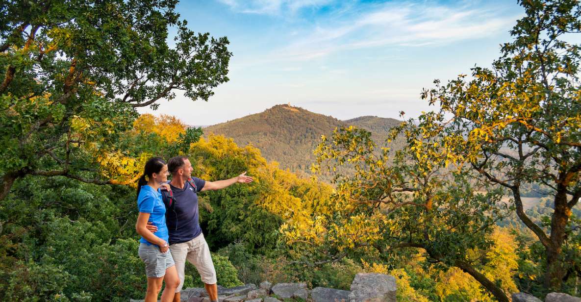 Baden-Baden: Hiking With the Black Forest Guide - Activity Overview