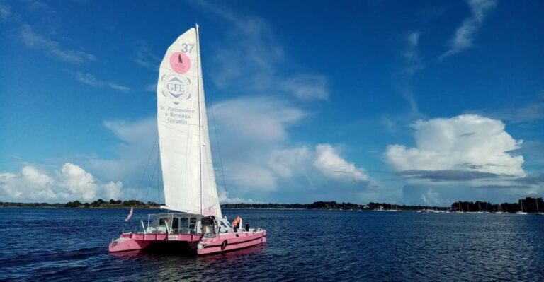 Baden: Gulf of Morbihan Exploration by Catamaran