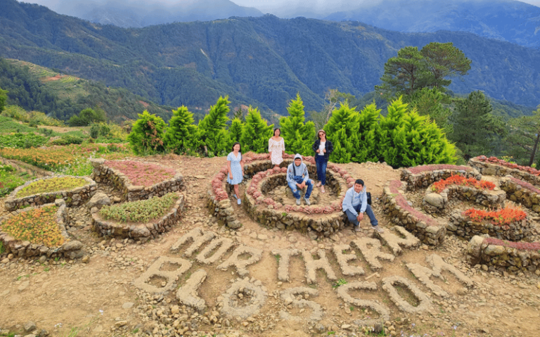 Baguio Atok Flower Blossoms (Private Tour)