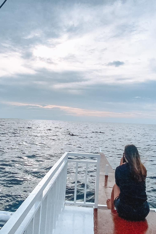 Balicasag Island Private Tour and Dolphin Watching - Tour Overview and Pricing