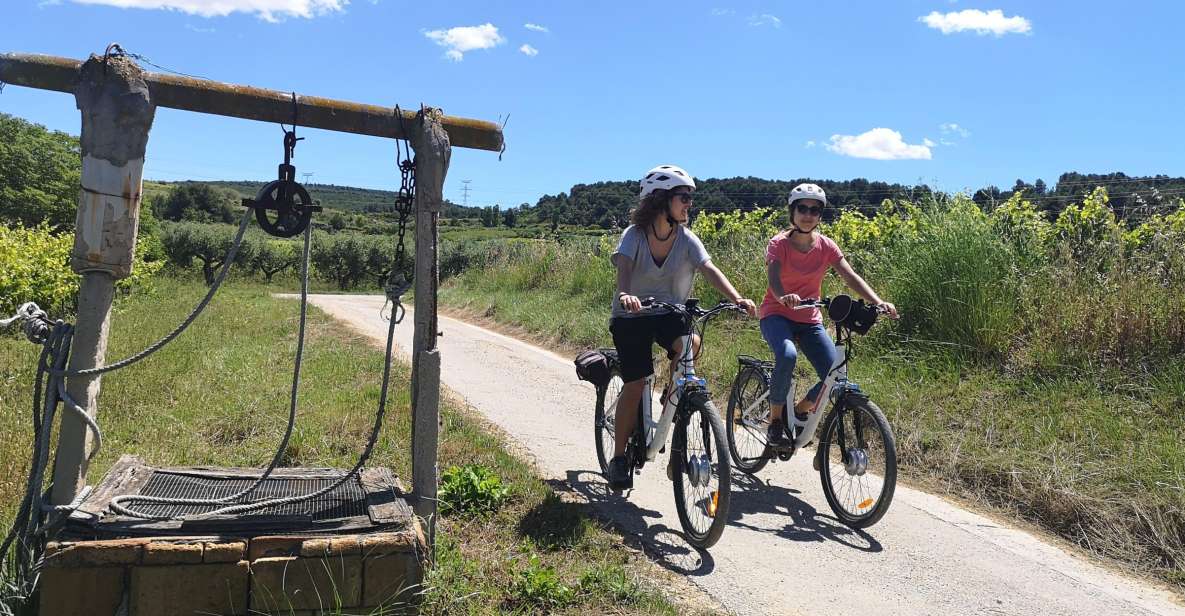 Barcelona: Bike & Wine Guided Tour - Penedès Vineyards - Tour Overview and Pricing