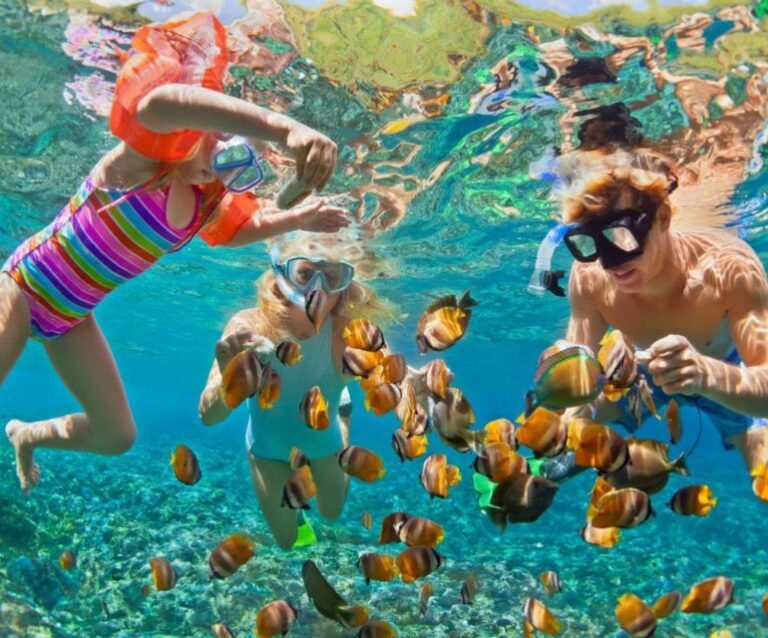 Barú: Club Freedom Beach With Mangrove and Snorkel