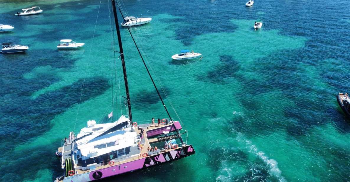 Bay of Quiberon or Morbihan Gulf: Evening 2 Hours Navigation - Activity Overview