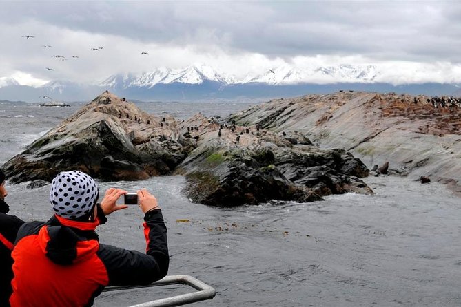 Beagle Channel Navigation Penguin Colony - Overview and Experience