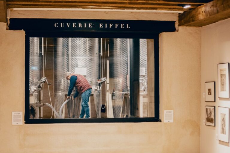 Beaune: Maison Champy Guided Cellar Tour With Wine Tasting