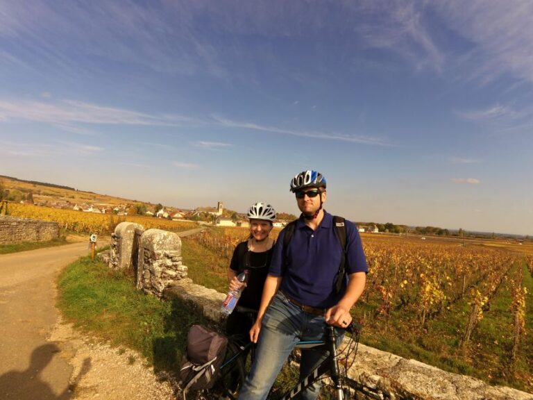 Beaune: Winery Tour by Bike With Wine Tasting