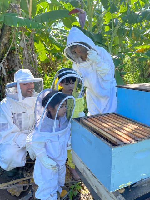 Bee Farm Tour & Honey Tasting - Tour Overview